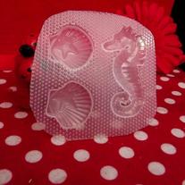 Seahorse and shells
