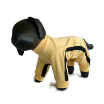 Dog1_medium