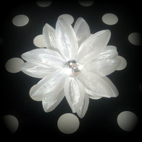 Lily1_medium