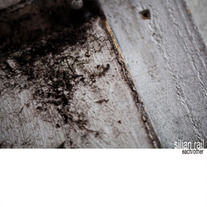 Silian Rail - each/other (digital)