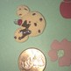 Imag0410_small