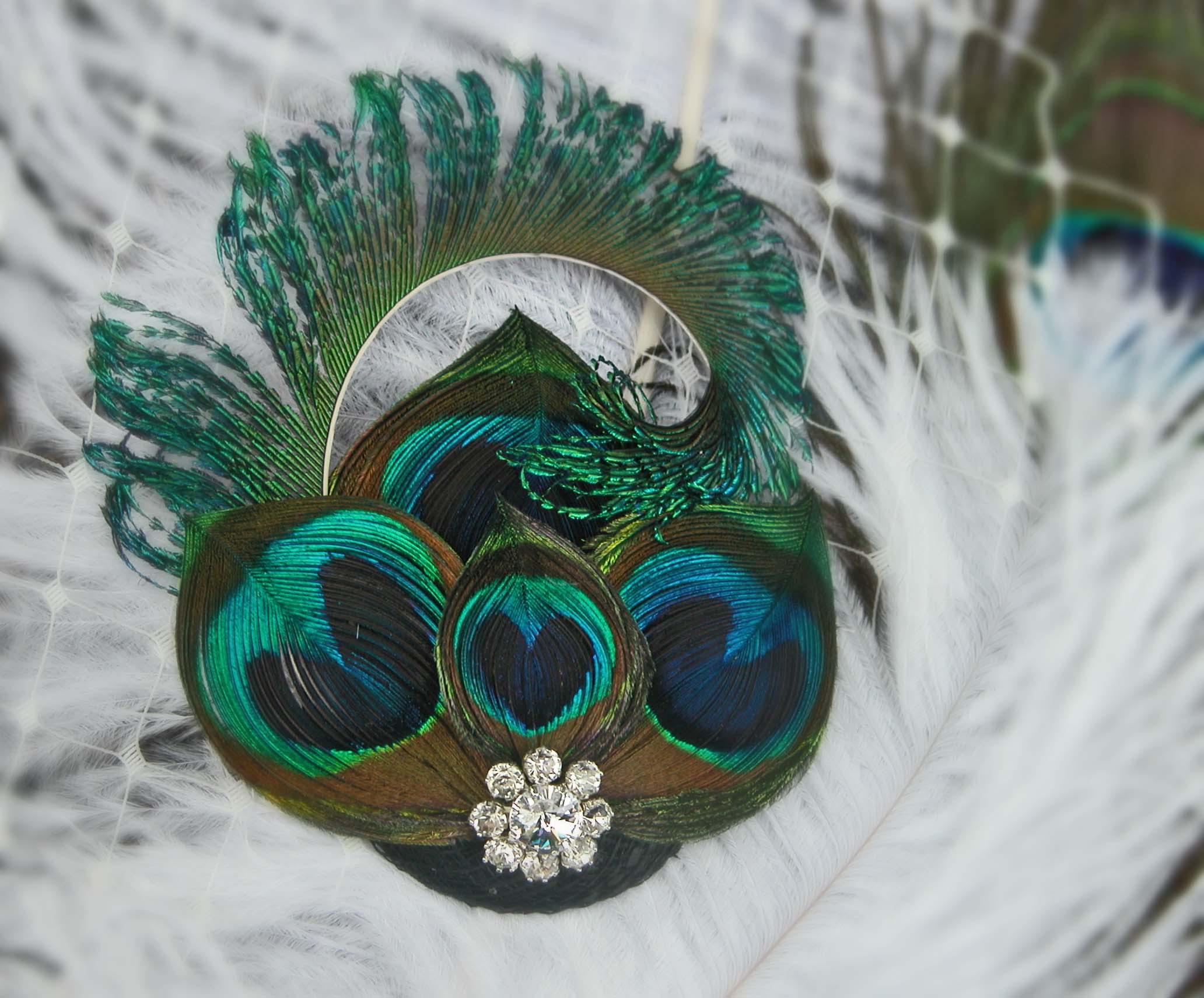 Peacock_20feather_20fascinator_20head_20full_20of_20feathers_201_original