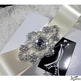 Wedding_20sash_20rhinestone_20beaded_20applique_20viogemini1_small