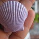 Img_7367_small