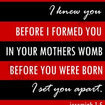 Jeremiah 1:5 - Red & Black