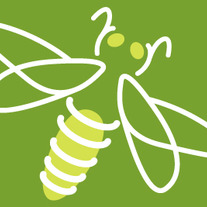 Ffwellnessgreenlogo