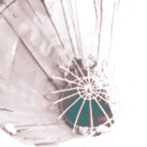 Walnut_logo
