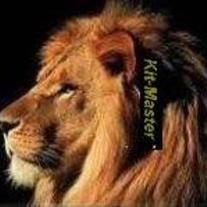 Lion_head_tm