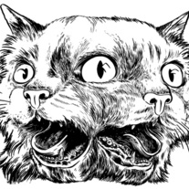 2facedcatweb