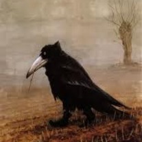 Crow