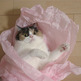 Tumblr_m9wtp5th581qj77x0o2_500