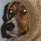 Little_old_lady_tron_cropped