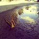 Butterfly_fly_away_by_dianadomination-d36j180_large