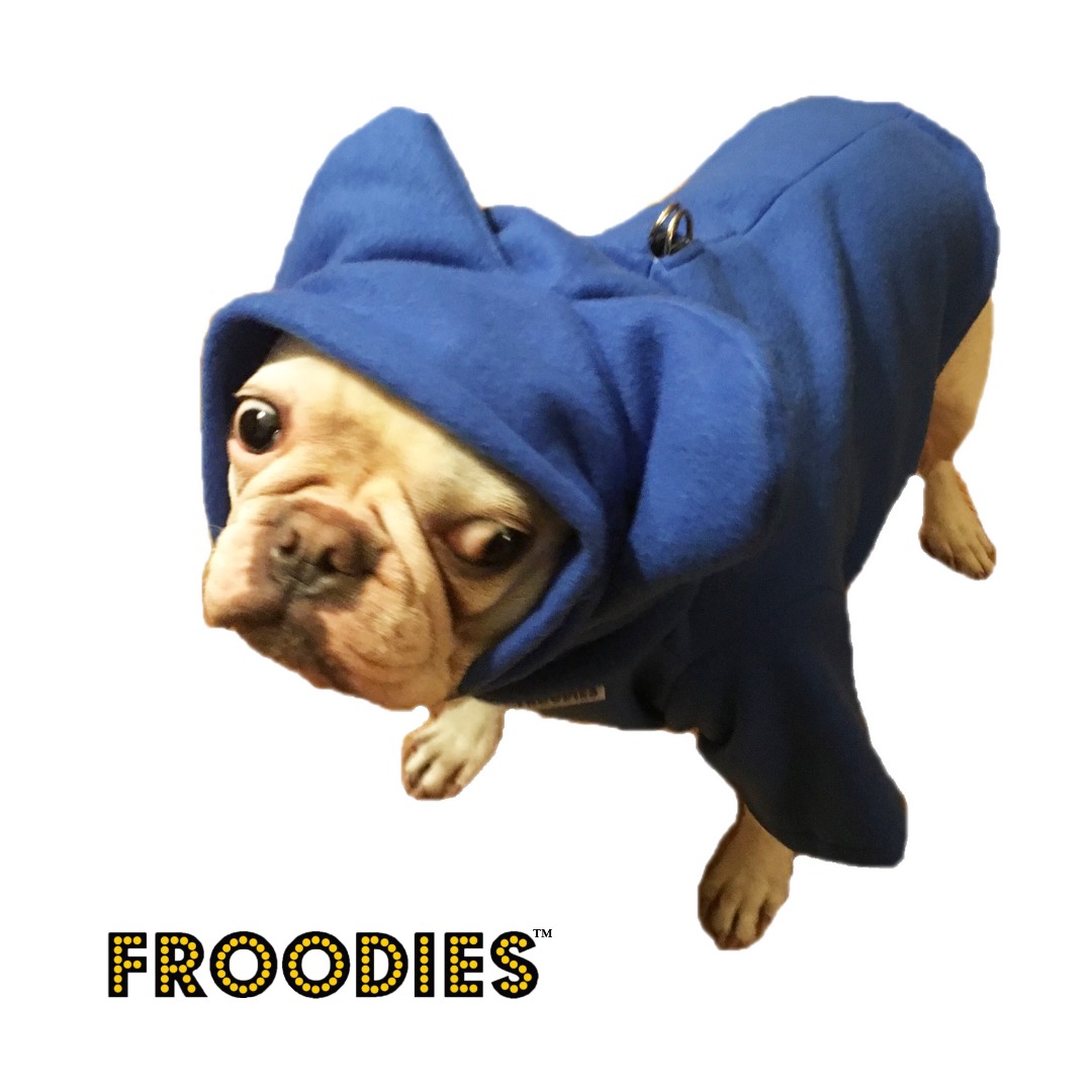 boston terrier jacket