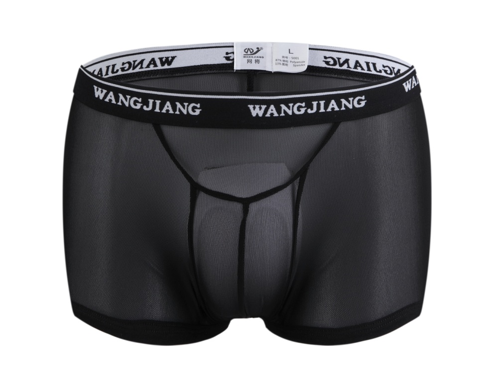 5001PJ Black 3pcs/lot Sexy Men's underwear mesh transparent gauze see