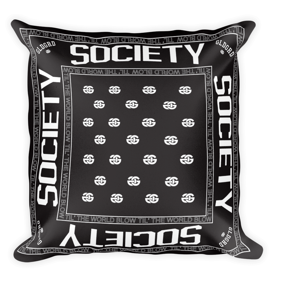 Goldgrade Paisley Print Pillows Stay Throwed Online Store