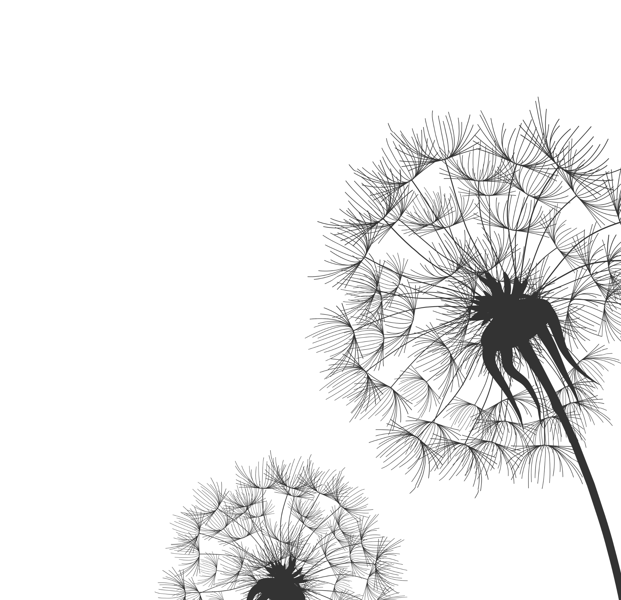 Dandelion Printable Printable Word Searches