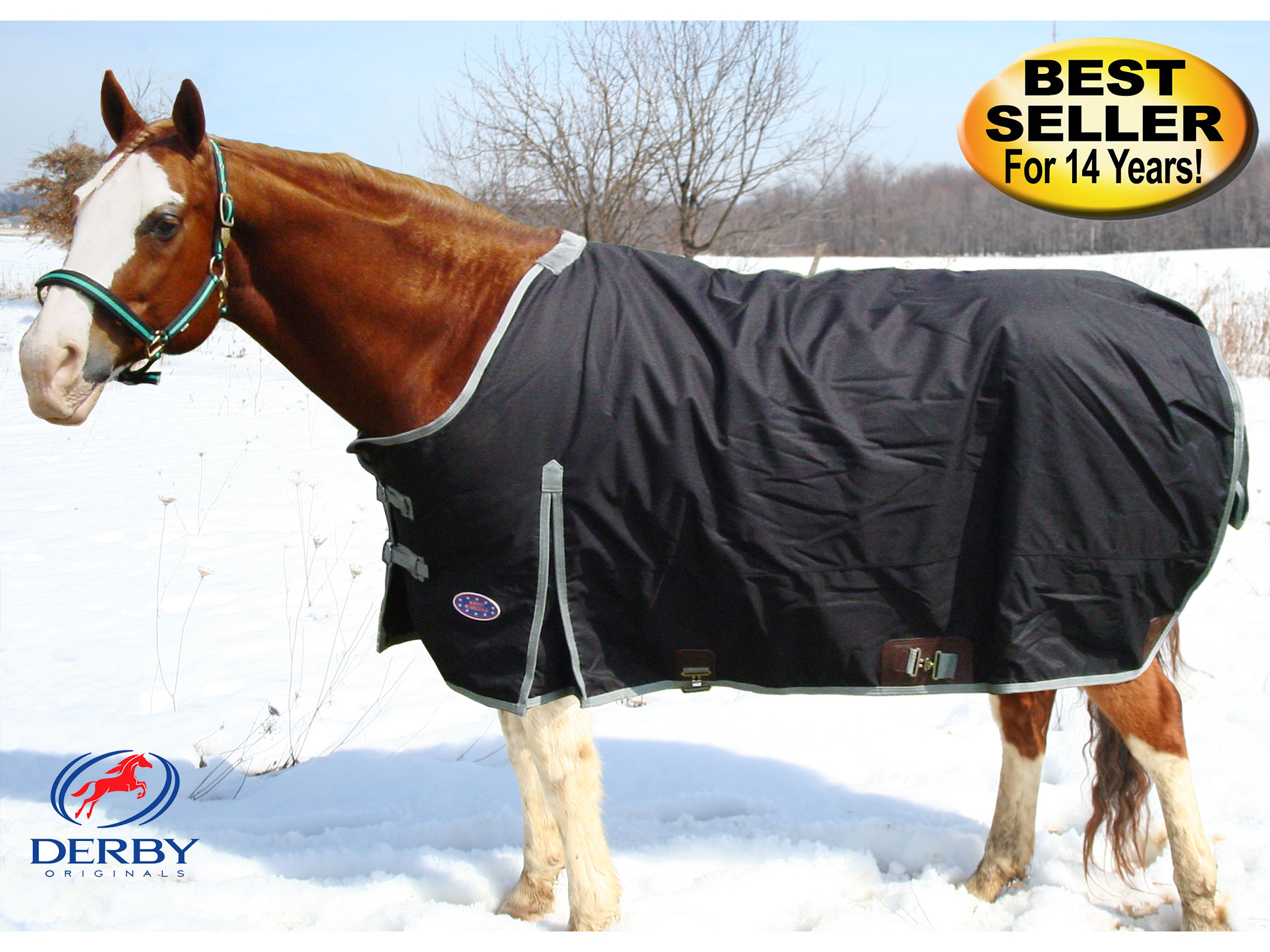 Winter Horse Blankets >> Nylon Winter Turnout Horse Blankets 600d In Black Winter Horse Blankets >> Nylon Winter Turnout Horse Blankets 600d In Black